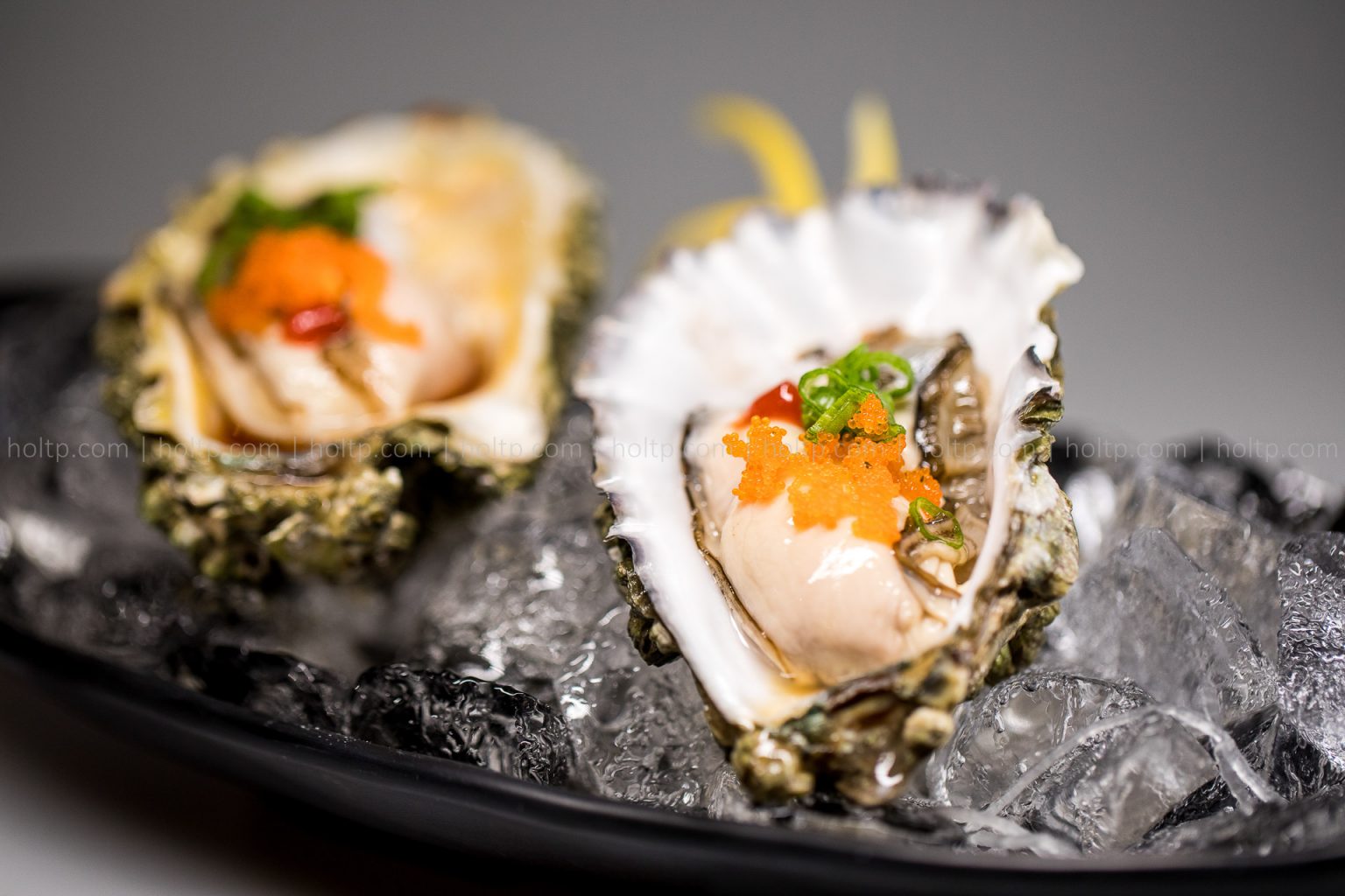 Oyster Appetizer | Restaurant Food Photography – Holt Photographic